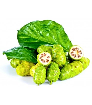 Tinh Dầu Thảo Nguyên