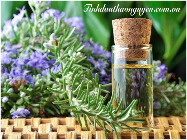 Tinh Dầu Thảo Nguyên